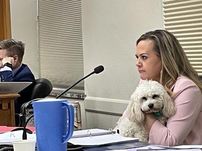 Lawmaker fined