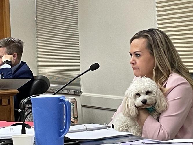 Lawmaker fined
