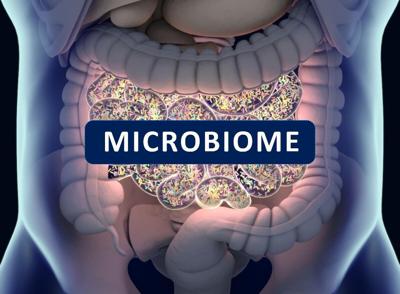 Un microbioma poco saludable puede aumentar el riesgo de muerte después de un trasplante de órganos