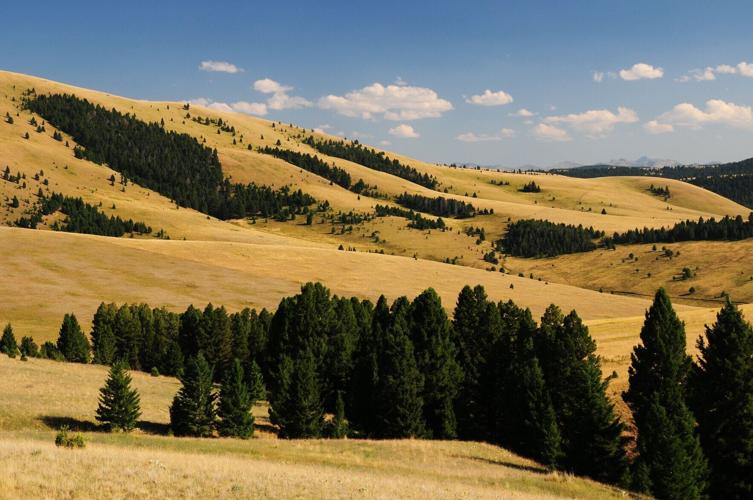 SOUTHWEST-FOOTHILLS-OF-THE-JOHN-LONG-MOUNTAINS---RICK-&-SUSIE-GRAETZ.jpg