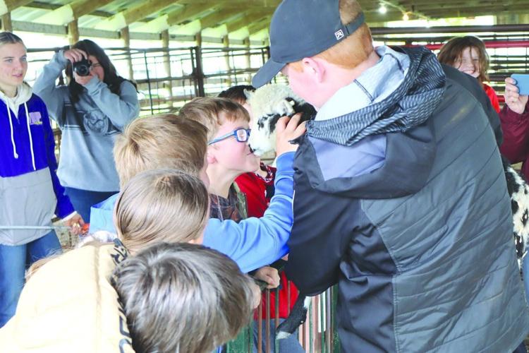 Kid kisses goat.jpg