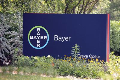Bayer sign