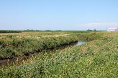 WOTUS