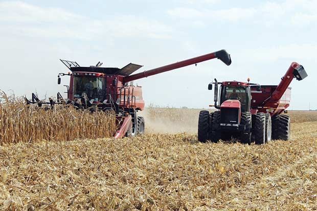 Combine Harvest