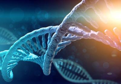 Un ensayo confirma el impacto "transformador" de la terapia génica para la hemofilia B