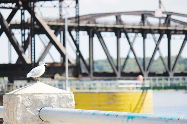 Keokuk - Bird Perches