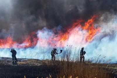 El humo de los incendios forestales amenaza la salud del corazón y los pulmones durante meses