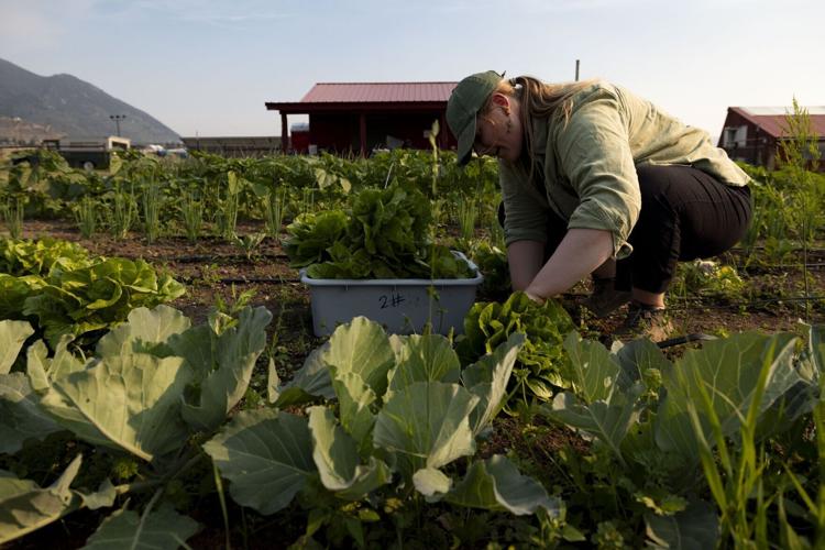 Butte Community Farm
