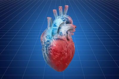 La prediabetes podría estimular la enfermedad de las válvulas cardíacas
