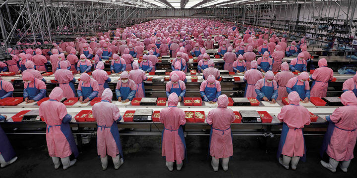 Manufactoring Landscapes