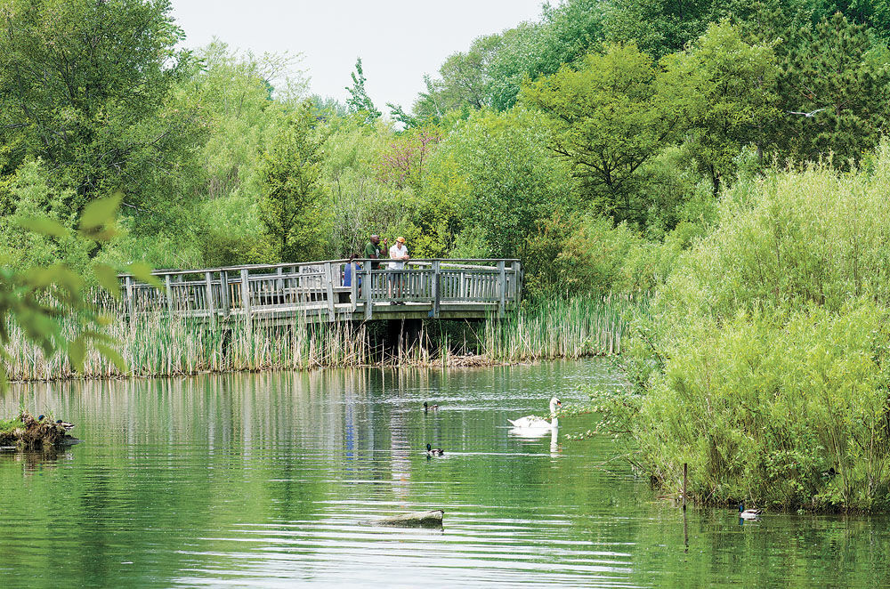 Col Smith Park Pond
