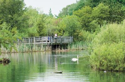 Col Smith Park Pond