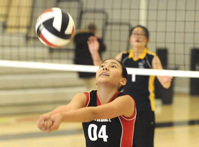 Volleyball