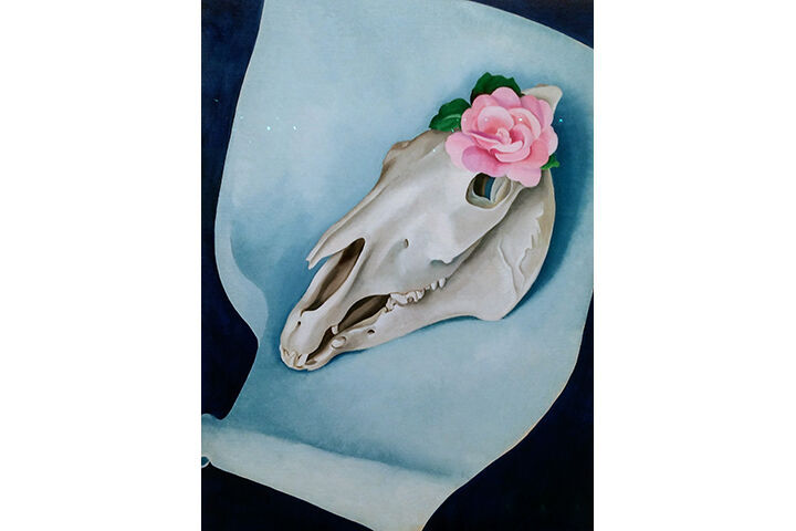 Horse's Skull and Pink Rose. Image credit Amanda Lee