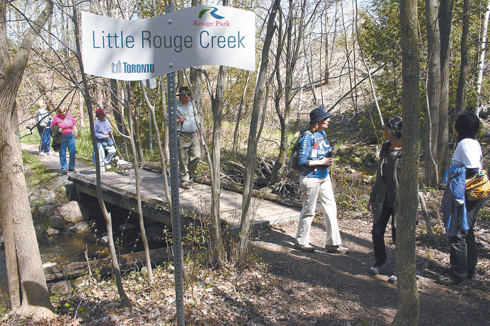 Rouge Park