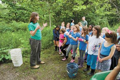 Taylor Creek planting
