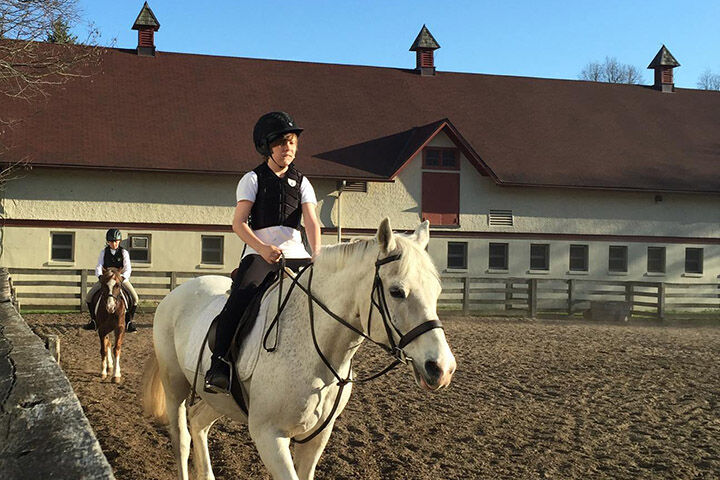 sunnybrook stables