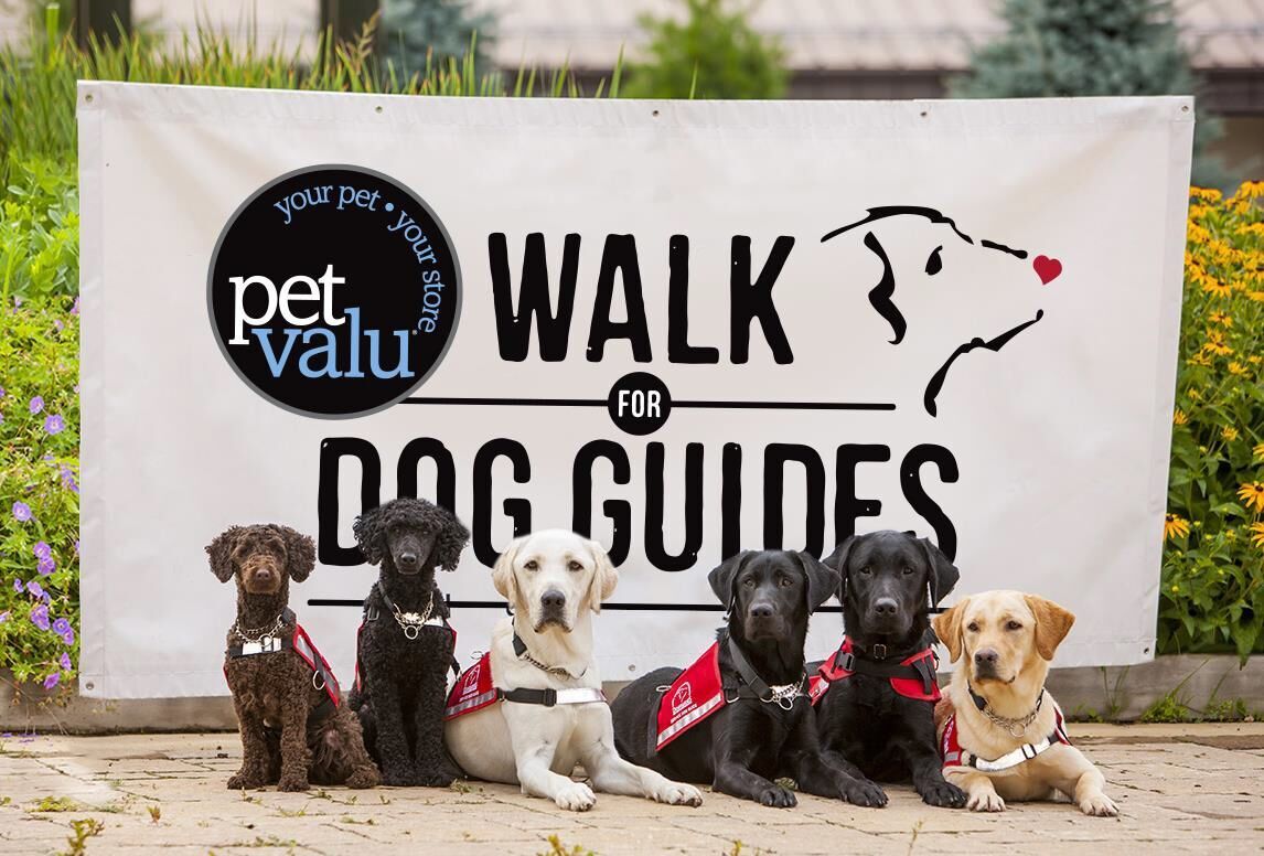 Pet Valu Walk for Dog Guides