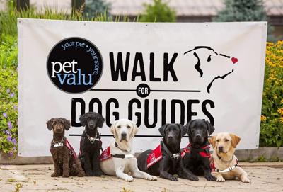 Pet Valu Walk for Dog Guides