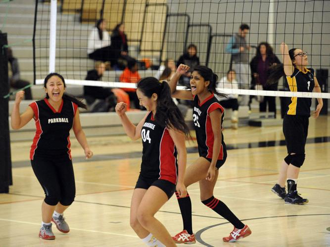 Volleyball