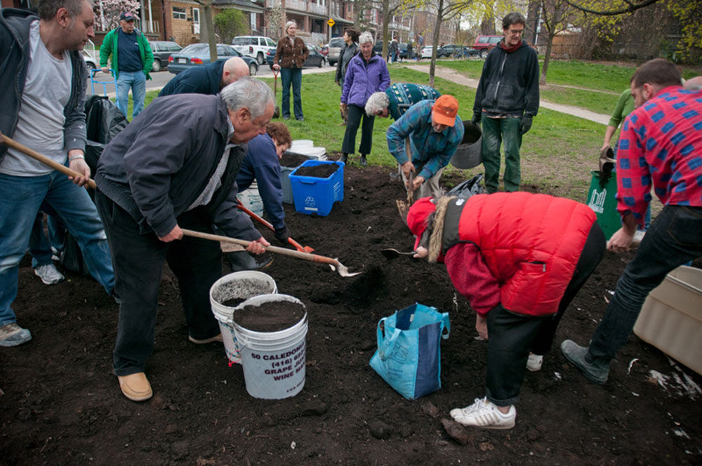 Leaf compost
