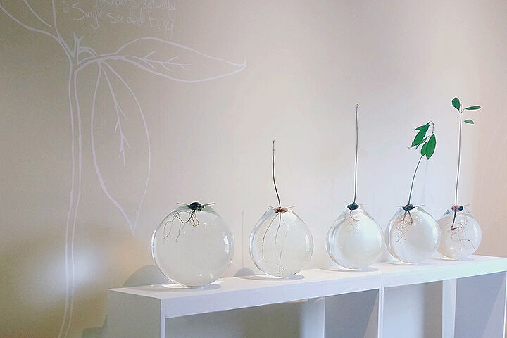 avocado room