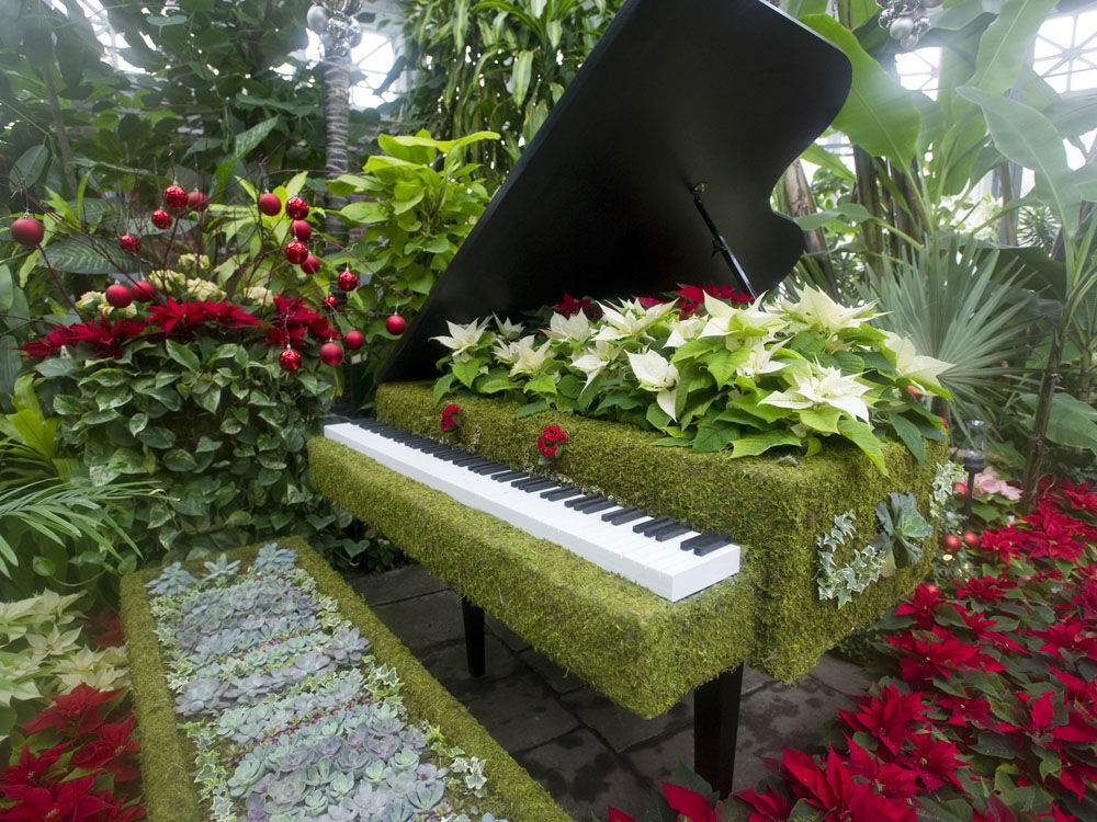Flower Show