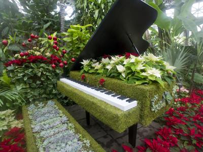 Flower Show