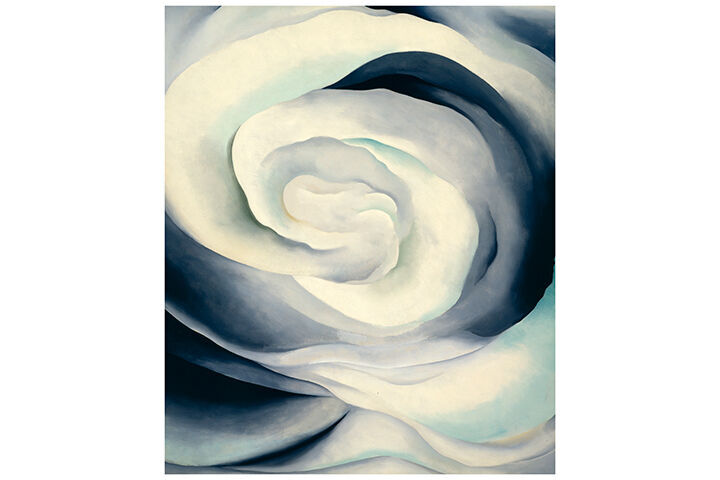 Abstraction White Rose. Image courtesy AGO