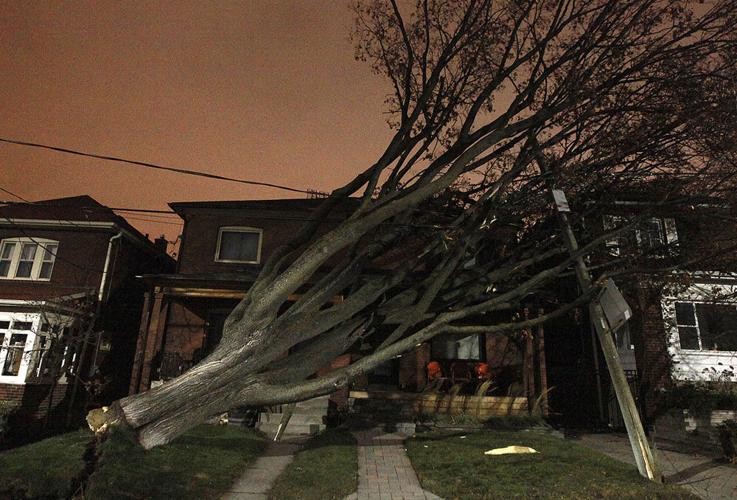 Wind storm