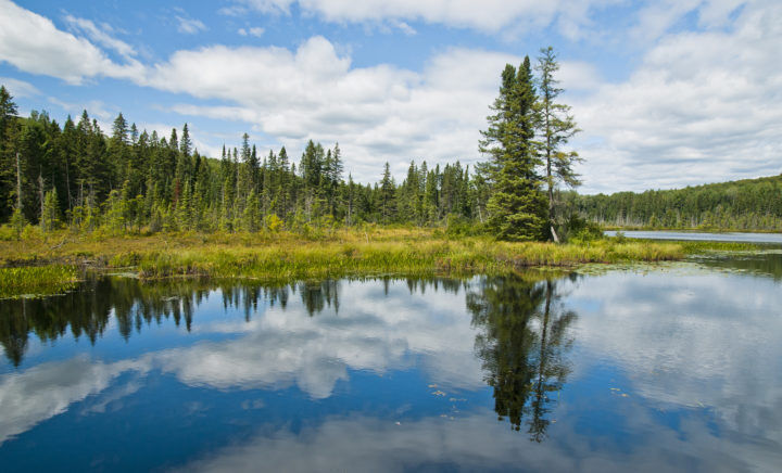 Kawartha Lakes. Image courtesy CanadaStays