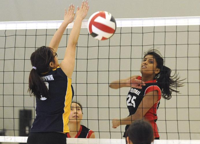 Volleyball