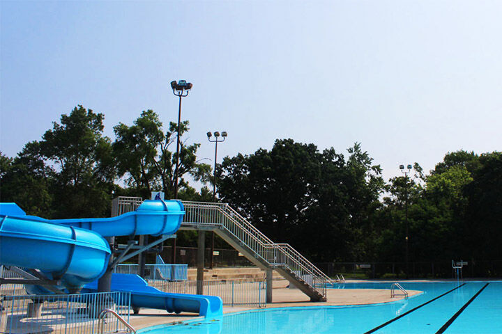 monarch swimming