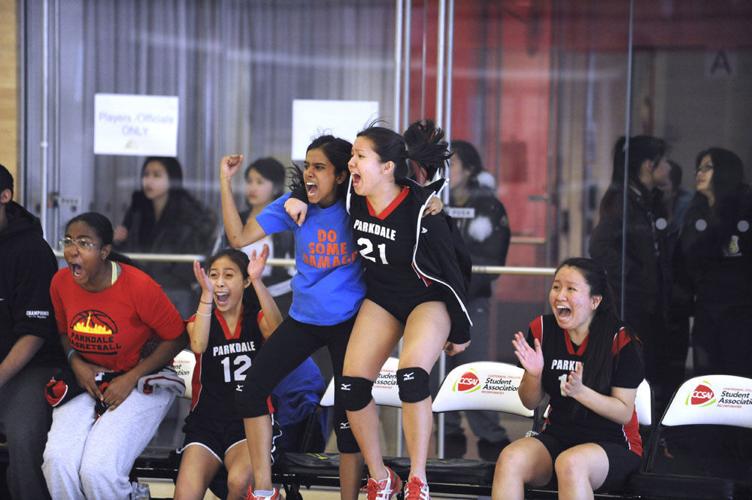 Volleyball