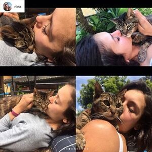 Nina Dobrev pens heartfelt tribute to her late cat-Image1